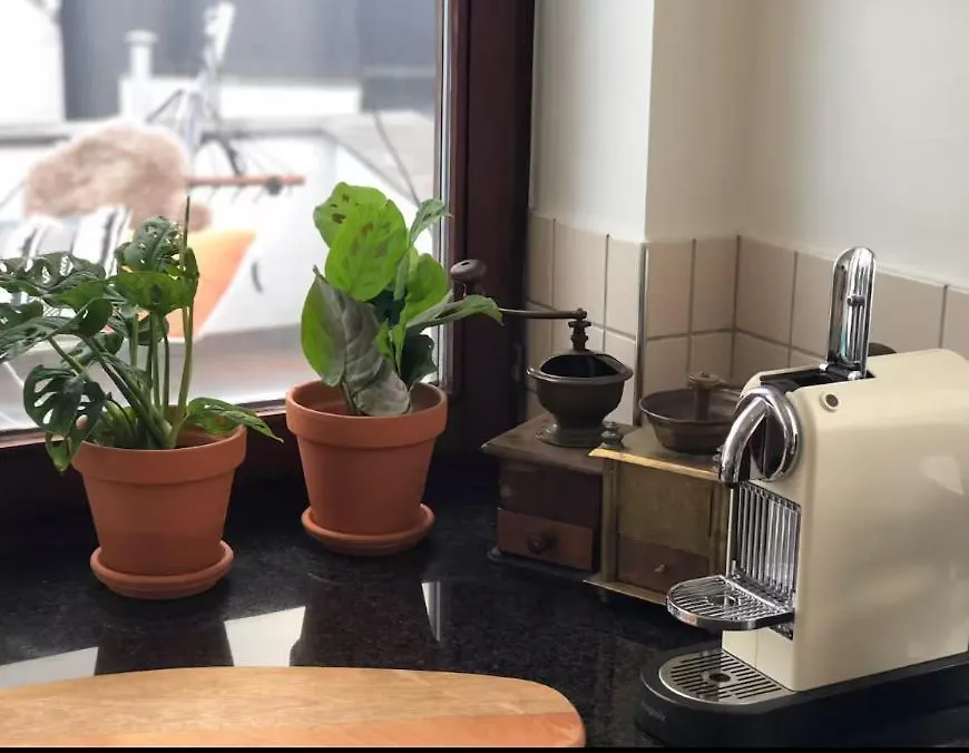 Apartment Cozy & Spacious Duplex With An Amazing Terrace Antwerp