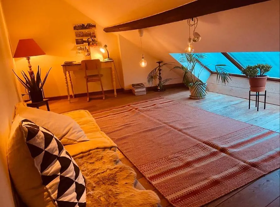 Cozy & Spacious Duplex With An Amazing Terrace Antwerp Apartment