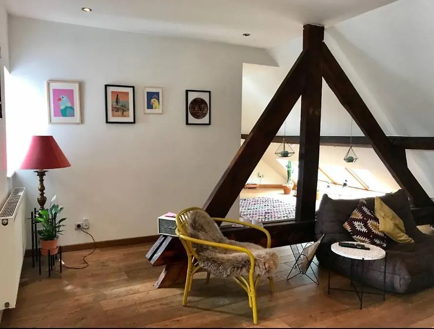 Apartment Cozy & Spacious Duplex With An Amazing Terrace Antwerp Belgium