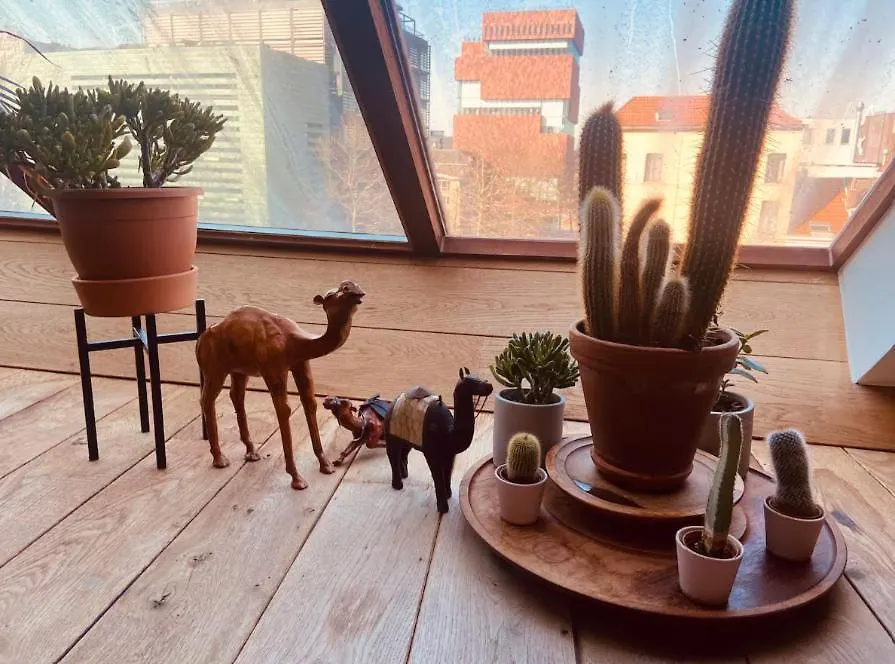 Cozy & Spacious Duplex With An Amazing Terrace Antwerp 0*,